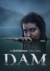 DAM poster