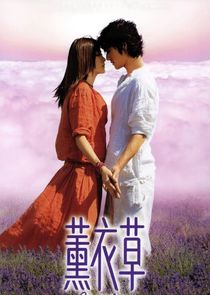 Lavender poster