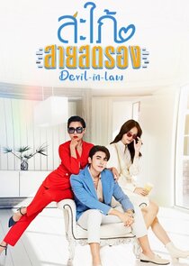 Devil-in-Law poster