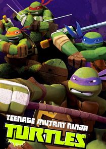 Teenage Mutant Ninja Turtles poster