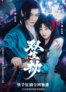Twins poster