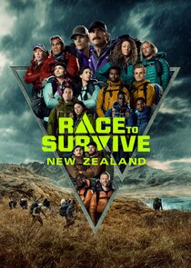 Race to Survive poster