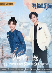 Perfect Mismatch poster