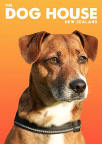 The Dog House NZ poster