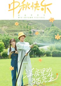 Mr. Cat in the Villa poster