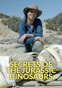 Secrets of the Jurassic Dinosaurs poster