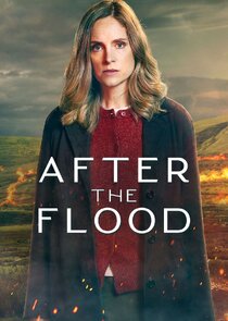 After the Flood poster