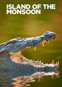 Island of the Monsoon poster