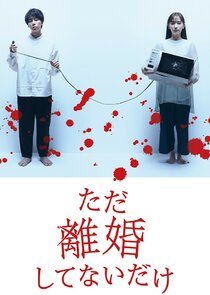 We Are Just Not Divorced poster