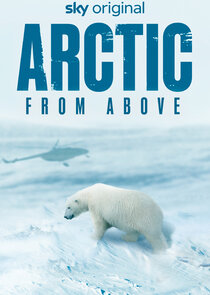 Arctic from Above poster