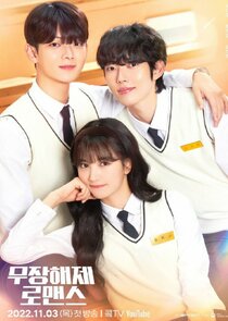 Disarming Romance poster