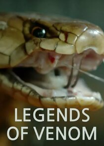 Legends of Venom poster