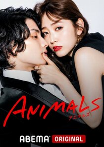 Animals poster
