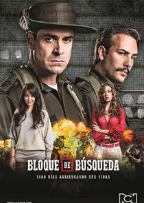 Bloque de búsqueda poster