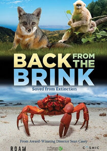 Back from the Brink poster