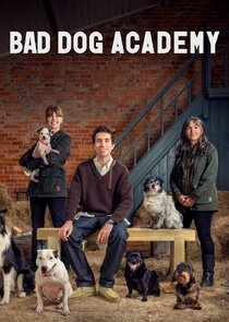 Bad Dog Academy poster