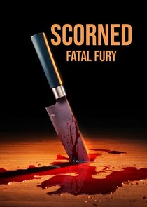 Scorned: Fatal Fury poster