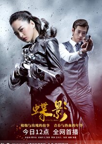 Grey Goose poster
