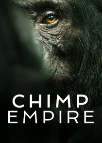 Chimp Empire poster