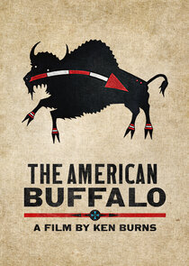 The American Buffalo poster