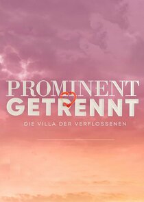 Prominent getrennt - Die Villa der Verflossenen poster