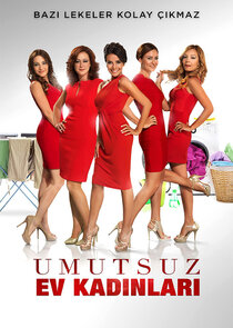 Umutsuz Ev Kadınları poster