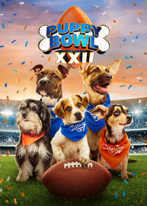 Puppy Bowl poster