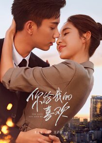 The Love You Give Me poster