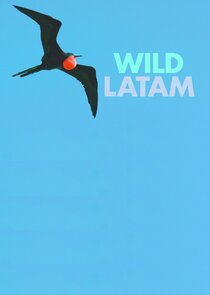 América Salvaje poster