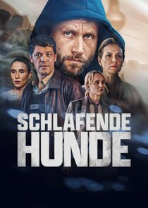 Schlafende Hunde poster