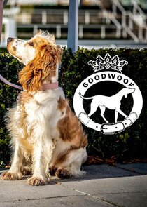 Goodwoof poster
