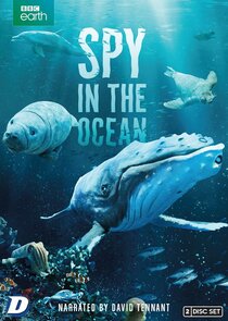 Spy in the Ocean poster