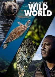 Patrick Aryee's Wild World poster