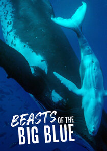 Beasts of the Big Blue poster