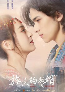 My Matrilocal Husband poster
