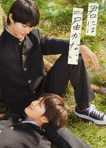 Kimi ni wa Todokanai poster