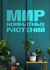 Мир комнатных растений poster