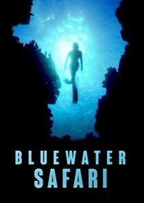 Bluewater Safari poster