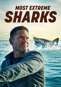 Most Extreme Sharks poster