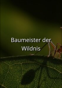 Baumeister der Wildnis poster