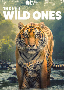 The Wild Ones poster