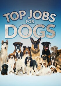 Top Jobs for Dogs poster
