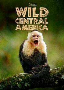 Wild Central America poster