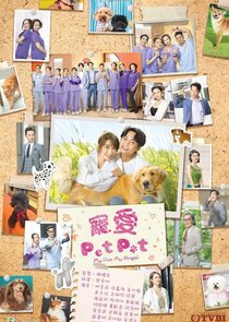 My Pet My Angel poster