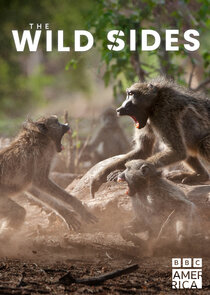 The Wild Sides poster