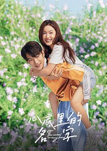 The Name in My Heart poster
