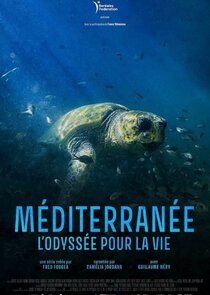 Méditerranée, l'odyssée pour la vie poster