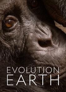 Evolution Earth poster