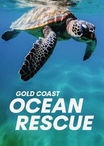 Gold Coast Ocean Rescue poster