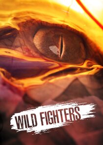 Wild Fighters poster